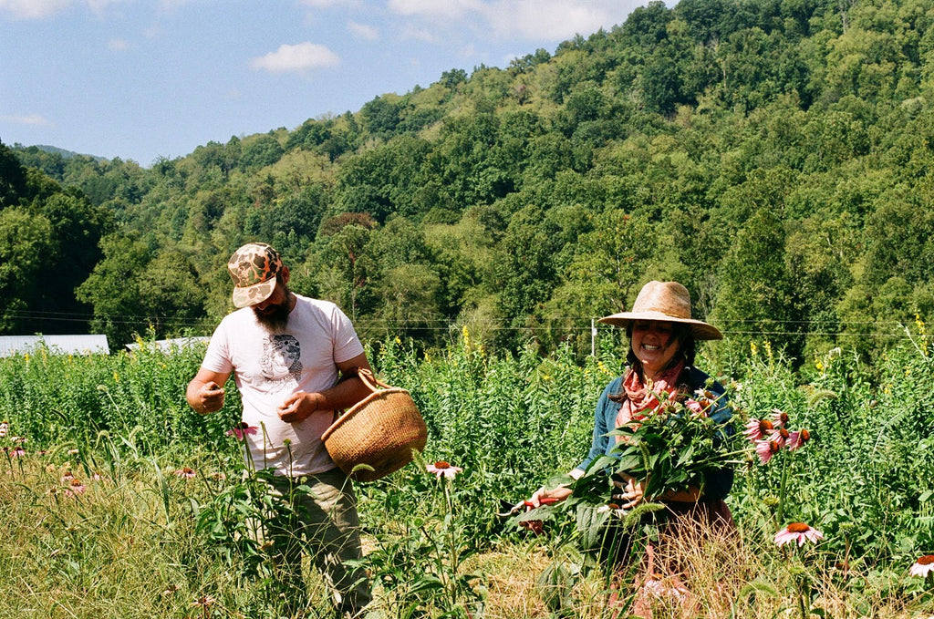 From Cut Flowers, Floral Design + Wedding Venue to Medicinal Herb Production