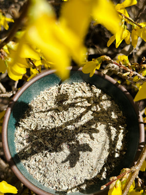 echinacea root dried