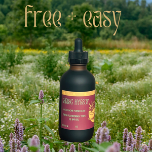 anise hyssop tincture